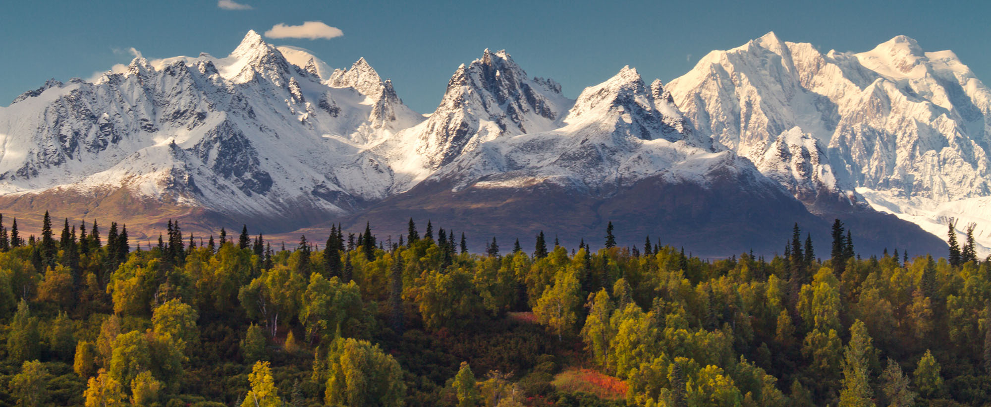 Alaska snowy peaks and summer trees