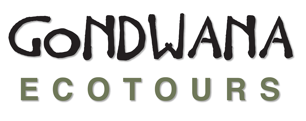 gondwana-ecotours-black-and-green-wordmark.jpg gondwana-ecotours-black-and-green-wordmark.jpg