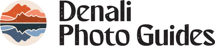 denaliphotoguides_digital-secondarylogo-color-black.jpg